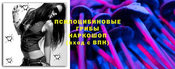 бошки Аркадак