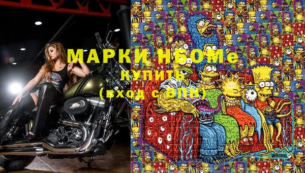 бошки Аркадак