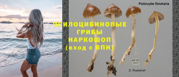 МДПВ Армянск